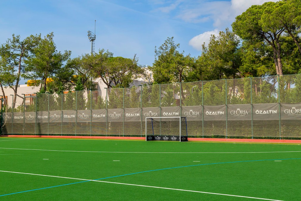 FIFA-standard natural-grass main football pitch