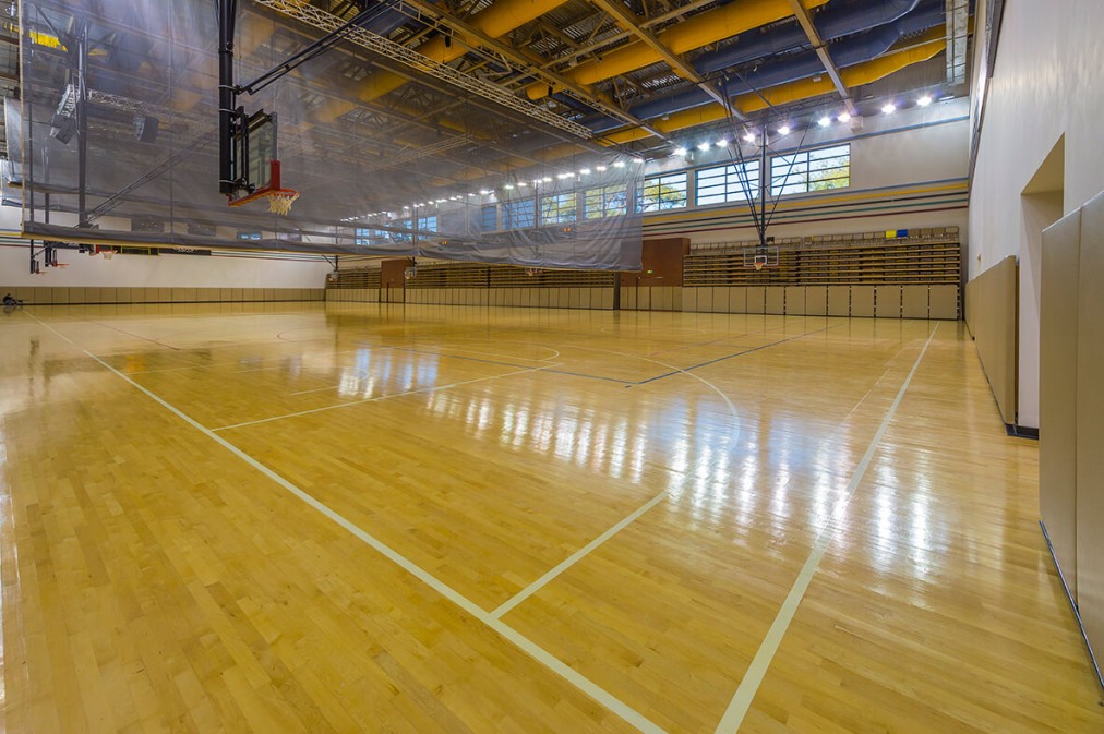 Multi-purpose indoor court