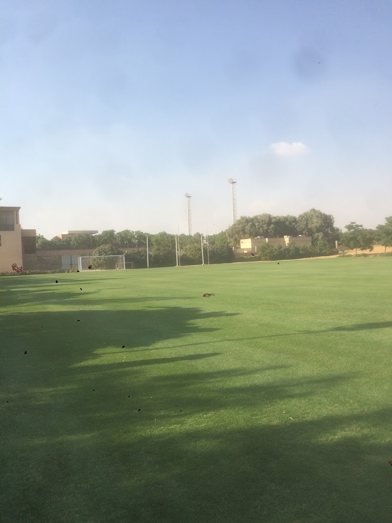 Football pitch with a goal and light poles, bordered by trees and campus walls.