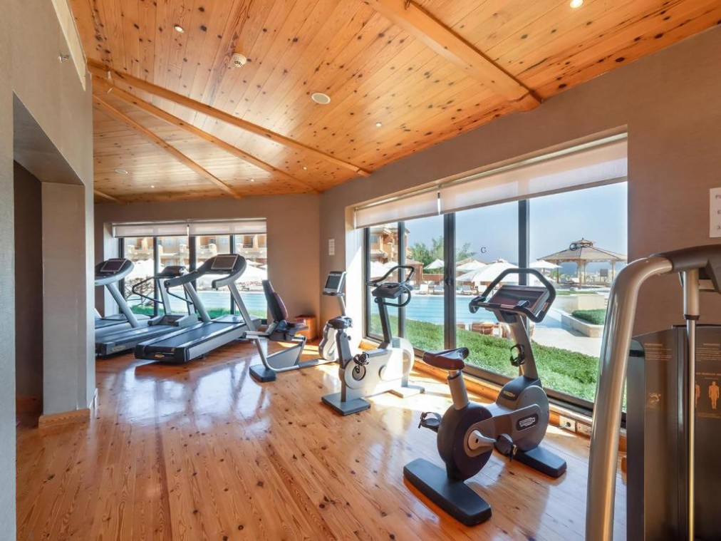 Fitness room with treadmills and bikes by large windows, cardio workout space for training camp