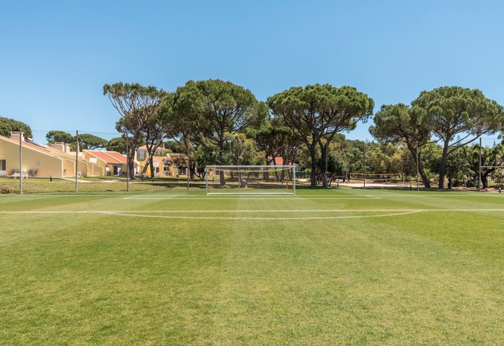 Natural grass football field with goal posts and trees in the background.