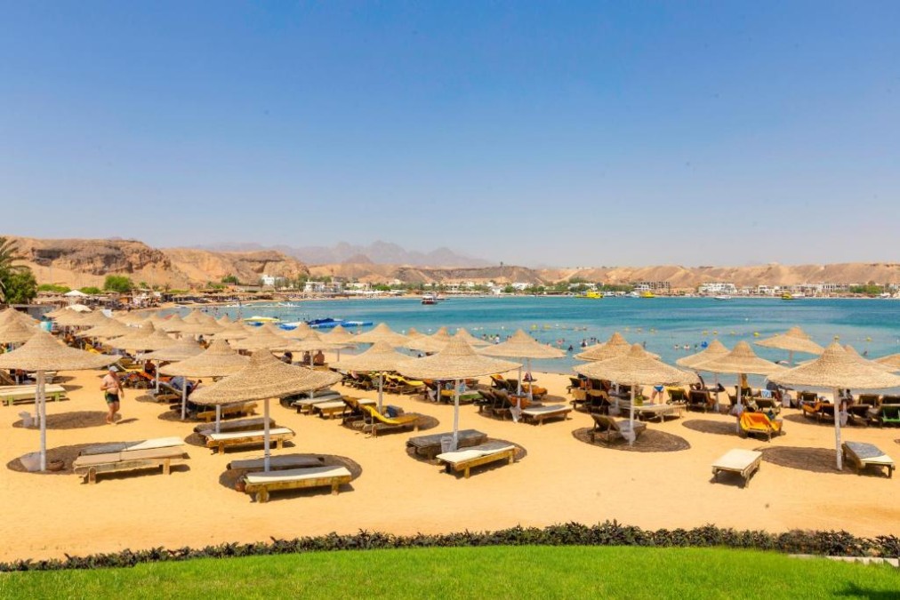 Beachfront with rows of straw parasols, sunbeds, and calm turquoise water