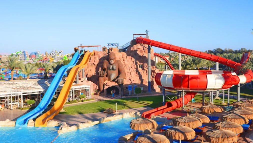 Waterpark slides and splash pool with large tube slide and themed rock feature.