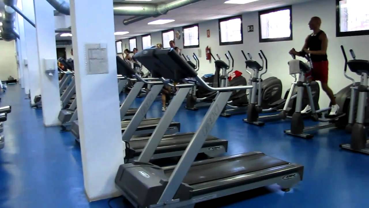 Salle de cardio avec tapis de course et vélos elliptiques dans une salle de fitness.
