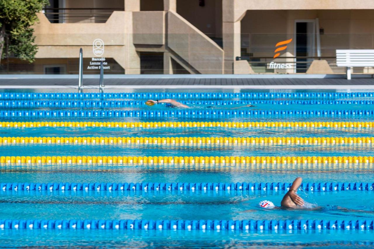 Schwimmer beim Training in einem Außenbecken mit Bahnleinen.