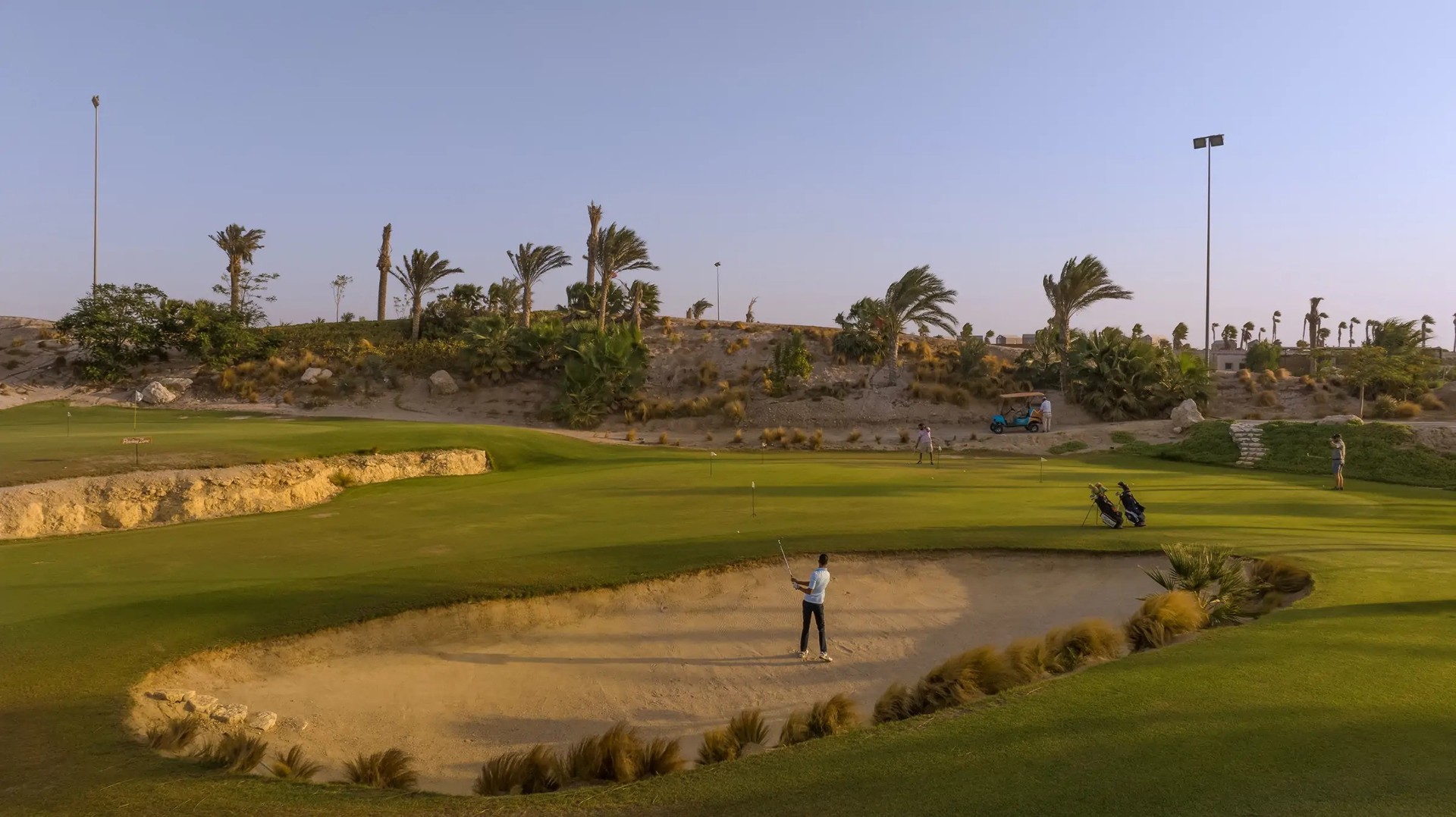 Golfer playing from bunker on green course with trees and evening light