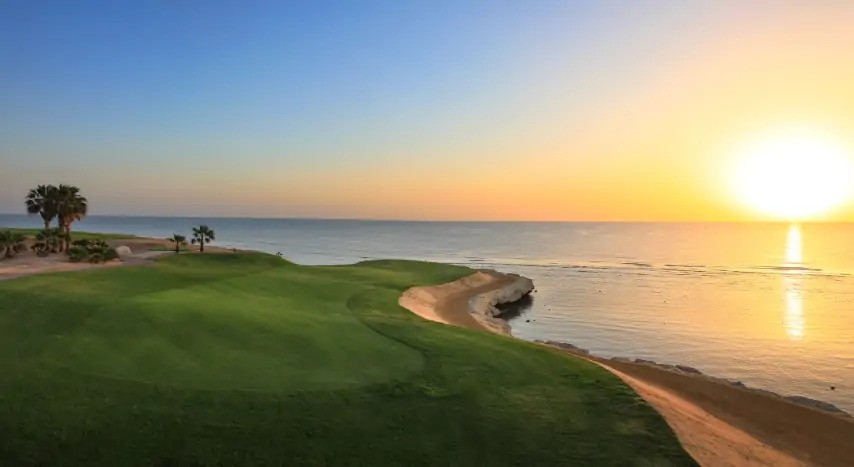 Golf course by the sea with sunset view and palm trees along the coast