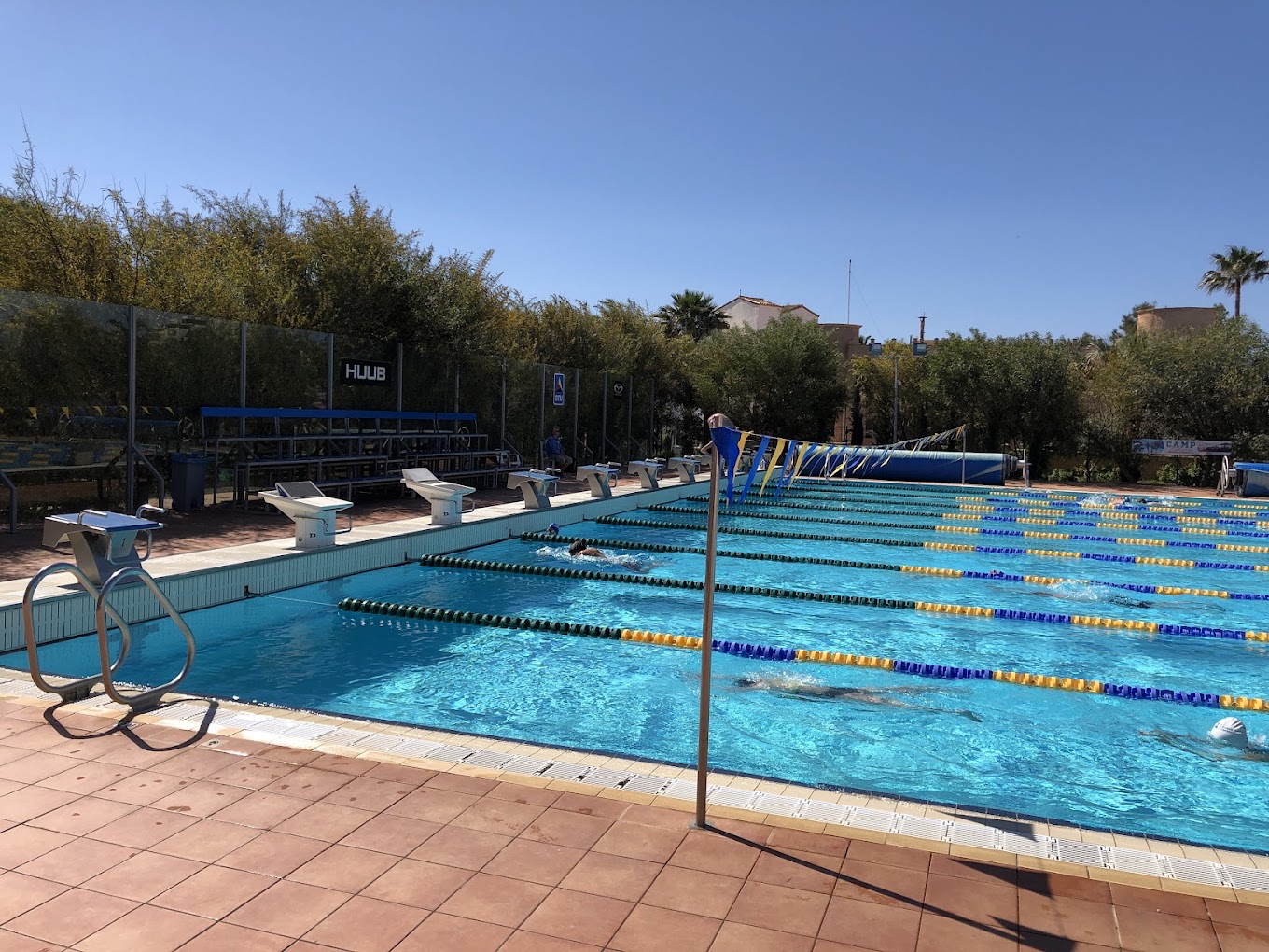 Bassin olympique extérieur avec couloirs marqués, plots de départ et nageurs à l'entraînement.