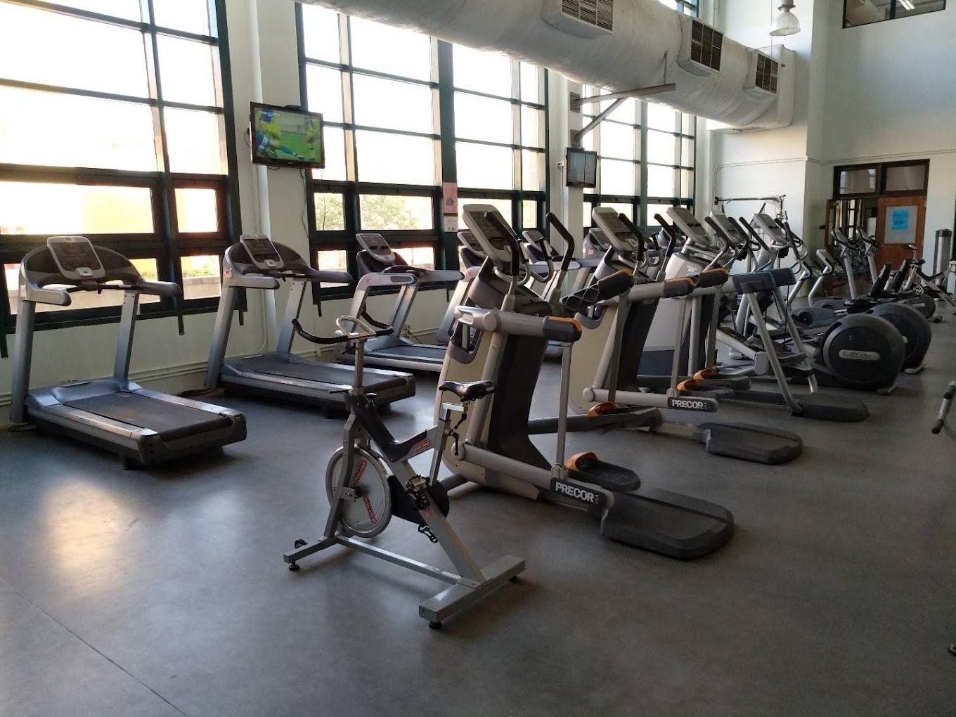 Cardio-Fitnessraum mit Laufbändern, Crosstrainern und Ergometern entlang großer Fensterfronten.