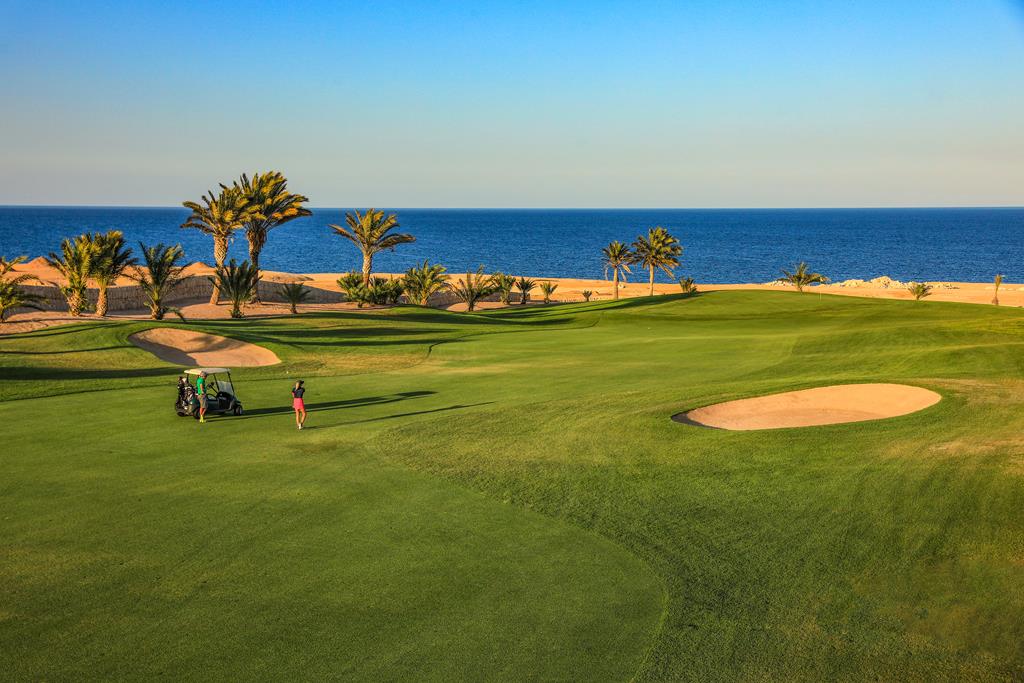 Golfer near a cart on a seaside fairway with palm trees and sand bunkers.