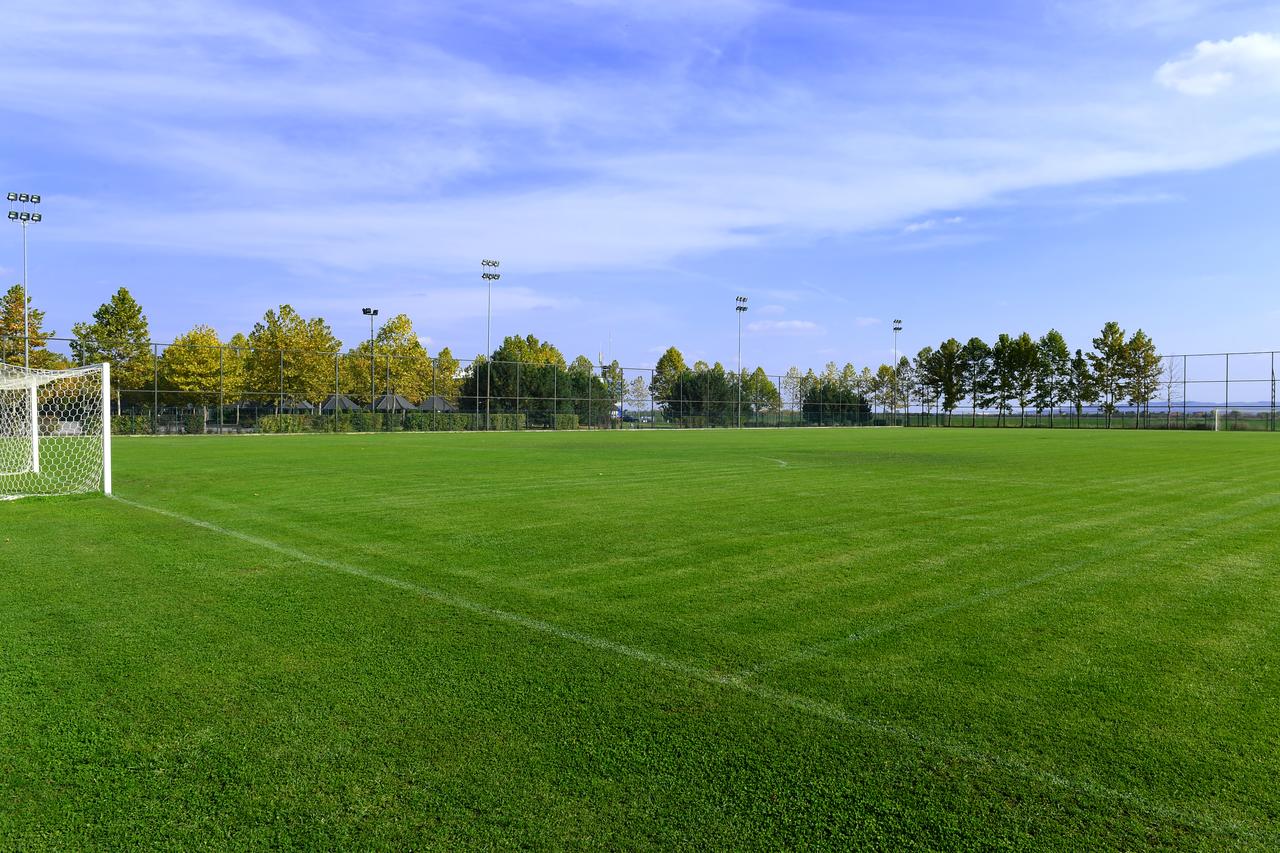 Outdoor football pitch with well-kept grass, goal and surrounding fence with floodlights.