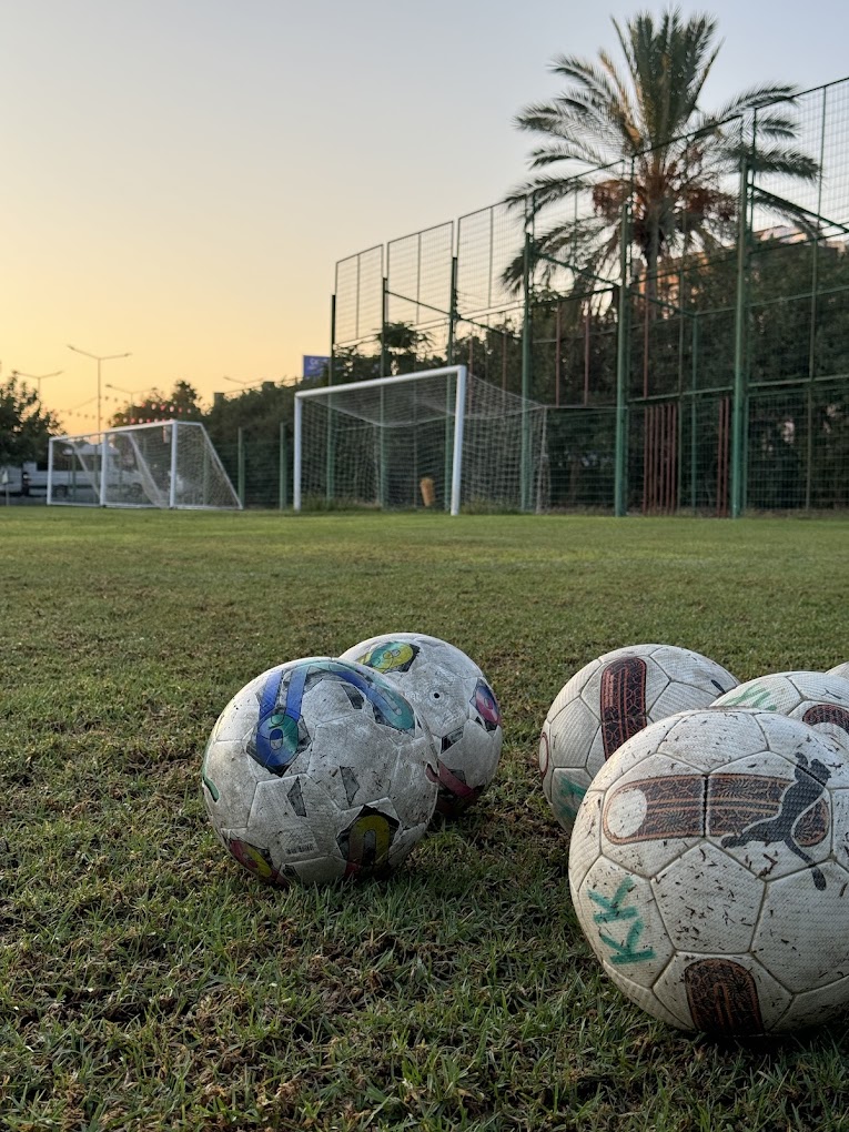 Football training balls on grass with small goals and fenced pitch at sunset.