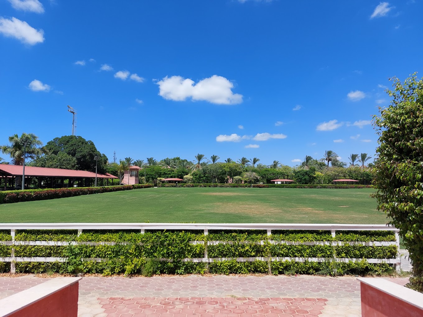 Wide grass sports field with pavilions and floodlights, lined by palms in the background.