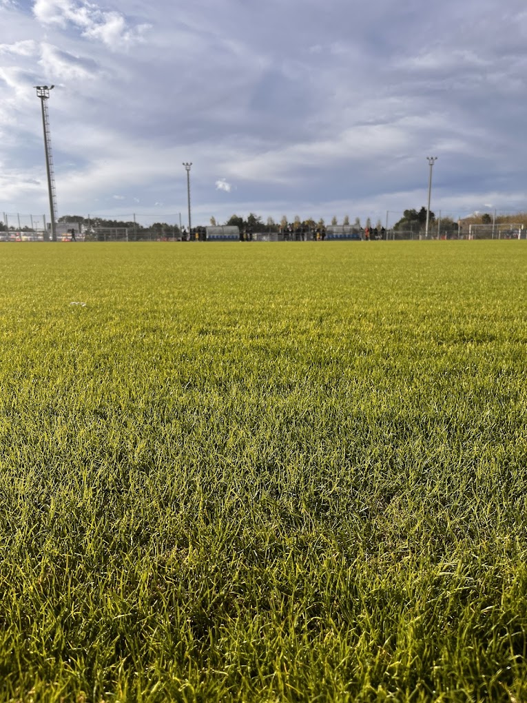 Nahaufnahme von Naturrasen auf einem Fußballplatz mit Flutlichtmasten unter wolkigem Himmel.