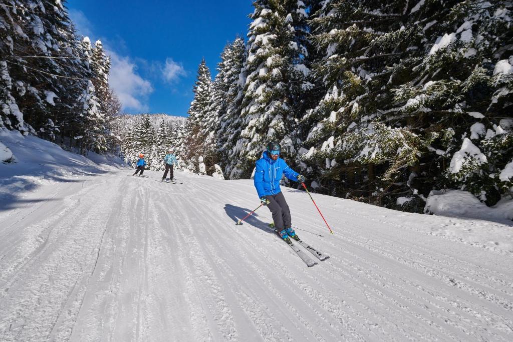Skiers on a groomed piste running through snow-covered forest.