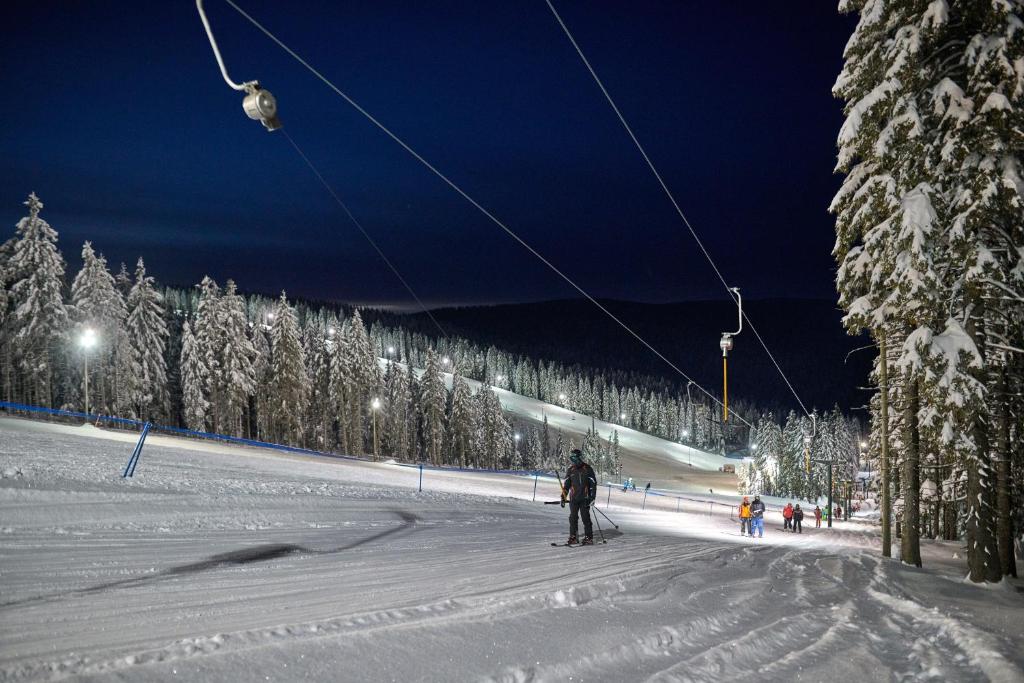 Night skiing area with illuminated slope, lift line and snow-covered trees.