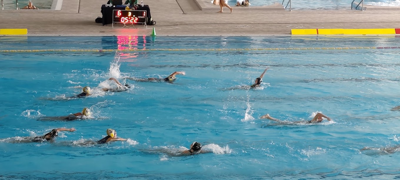 Water polo players swimming during match action in the pool.