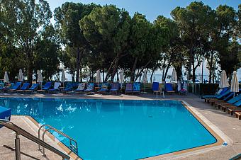 Outdoor swimming pool area with blue lounge chairs and sun umbrellas beside tall pine trees