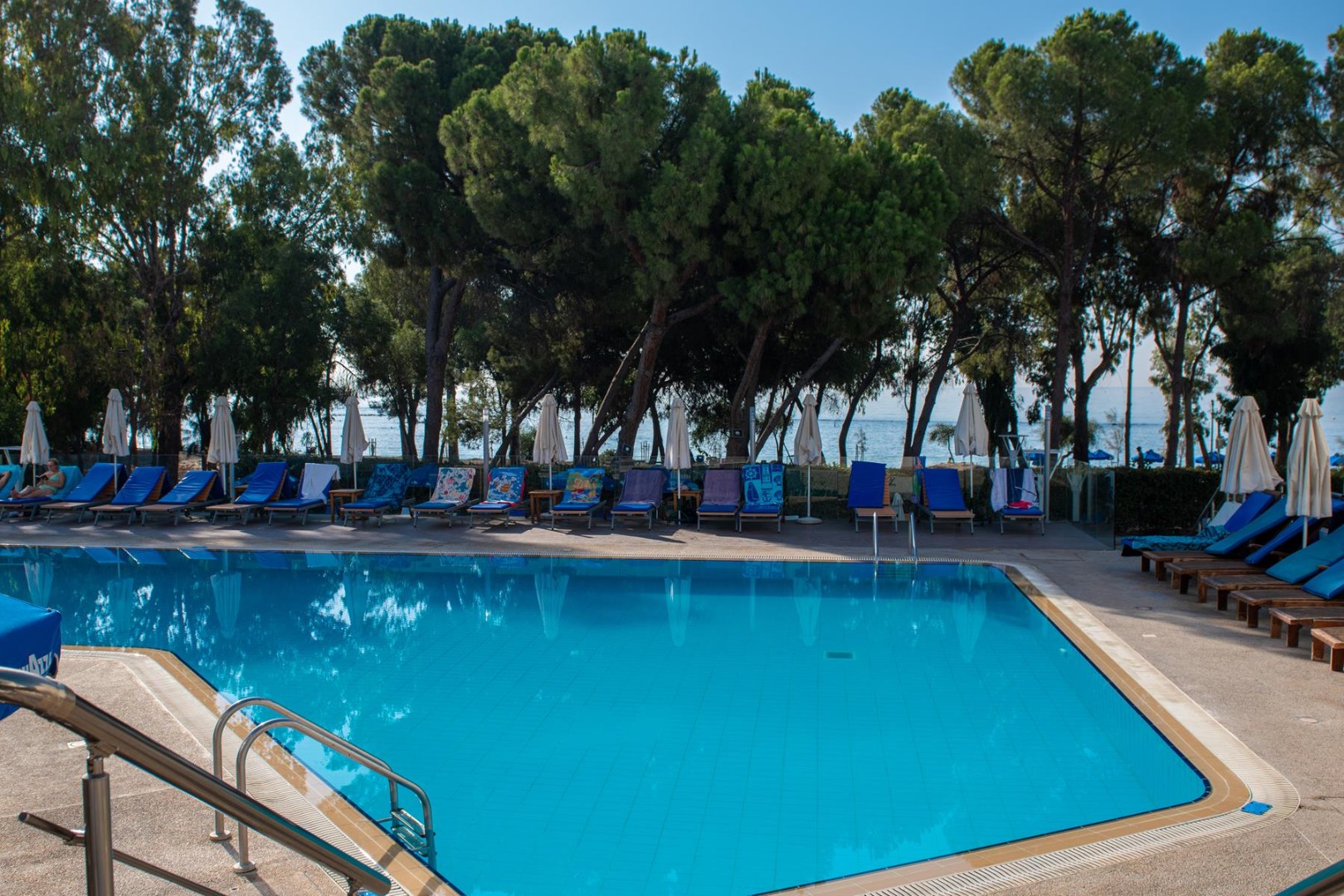 Outdoor swimming pool area with blue lounge chairs and sun umbrellas beside tall pine trees