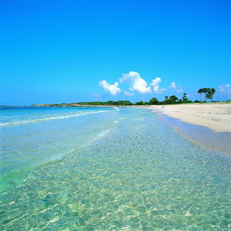 Clear shallow sea and sandy beach under blue sky.