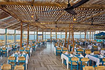 Open-air seaside restaurant with wooden roof, blue chairs, and tables set for dining overlooking the Red Sea