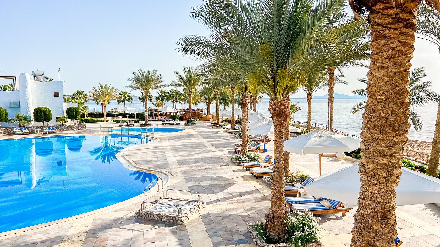 Palm-lined pool area with sun loungers and umbrellas beside the beach