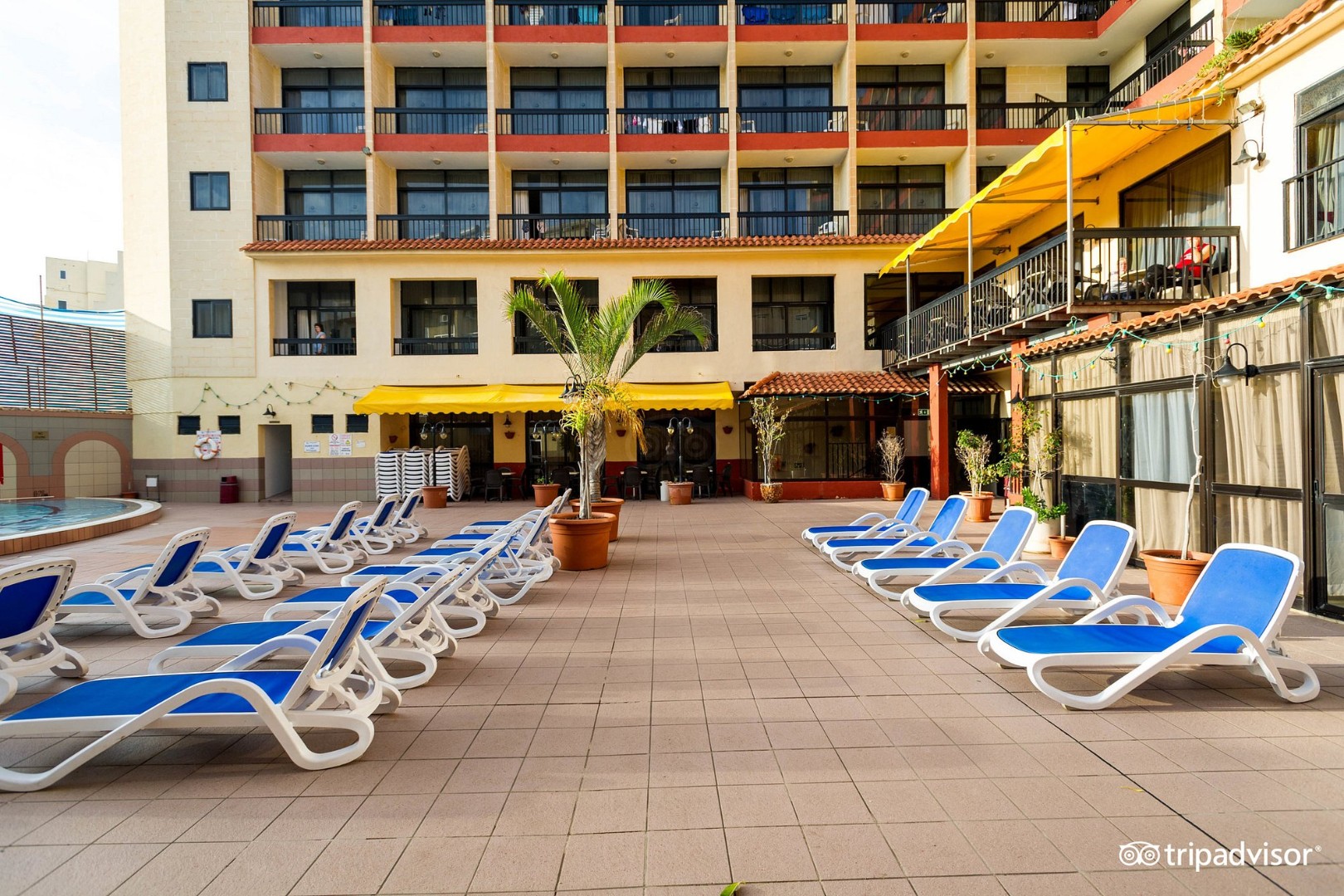 Pool terrace with rows of blue sun loungers and shaded seating area.