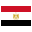  flag icon