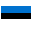  flag icon