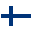  flag icon