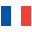  flag icon