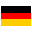  flag icon
