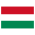  flag icon