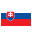  flag icon