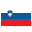  flag icon