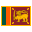  flag icon