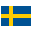  flag icon