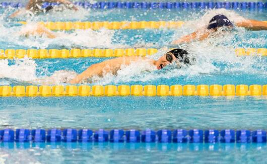 Schwimmer absolvieren ein Freistilrennen in blauen Bahnen mit gelben Leinen, Athleten beim Training während einer Schwimmeinheit