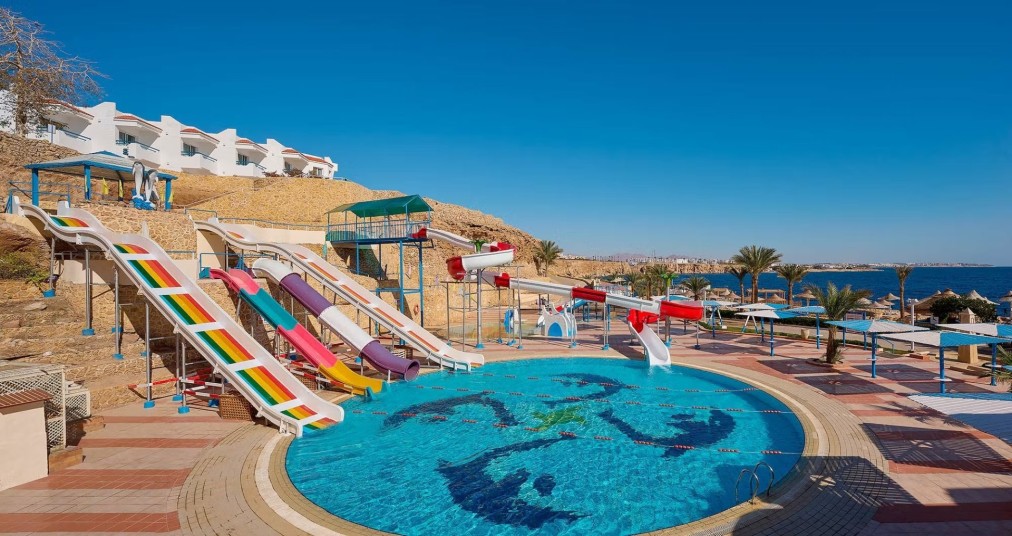Parc aquatique extérieur avec toboggans colorés menant à une piscine ronde ornée d'une mosaïque de dauphins