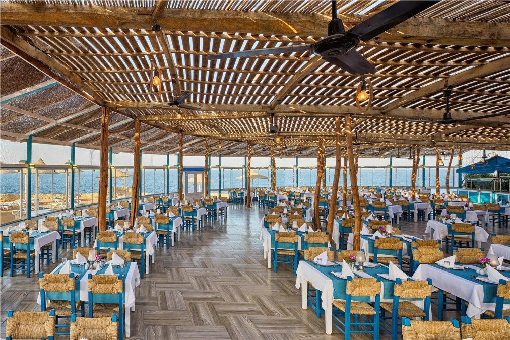 Restaurant en plein air en bord de mer avec toit en bois, chaises bleues et tables dressées pour le repas avec vue sur la mer Rouge