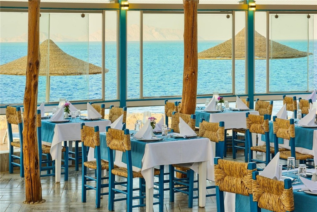 Restaurant en bord de mer avec chaises bleues et nappes blanches, offrant une vue sur la mer Rouge